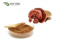 Extract de ciuperci Reishi polizaharidă 30% -50%
