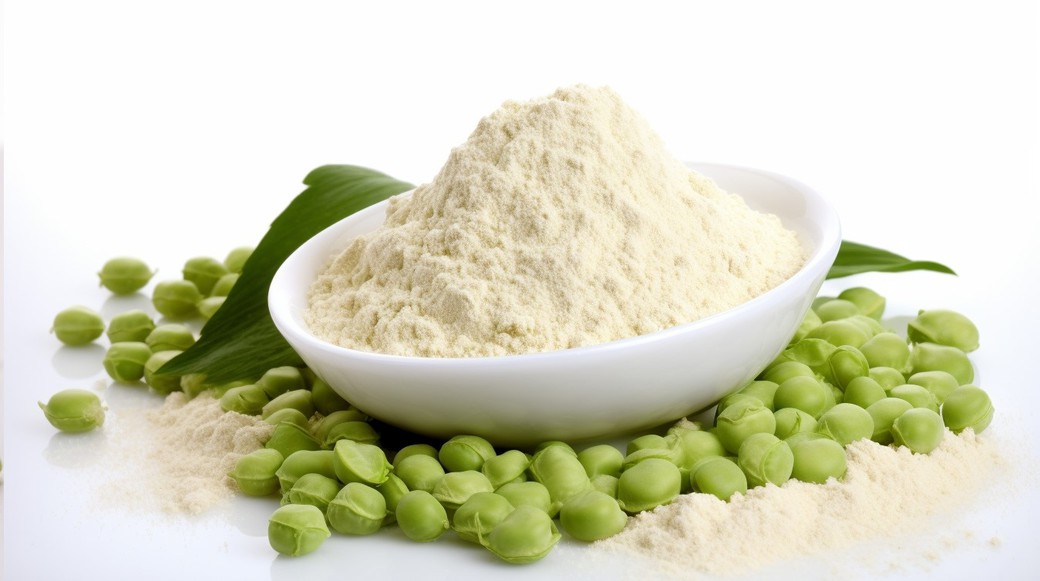 Pea protein isolate Pea protein isolate